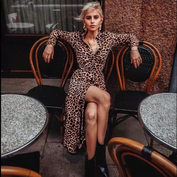 NWT Zara Animal Print Dress - Picture 1 of 8